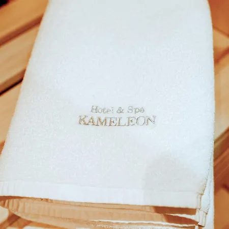 Hotel&spa Kameleon Hotel Żory