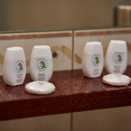 Hotel&Spa Kameleon Отель 3*