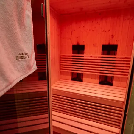 Отель Hotel&Spa Kameleon