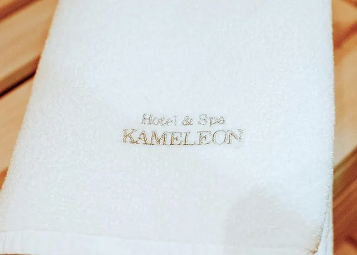 Hotel&spa Kameleon Hotel Żory