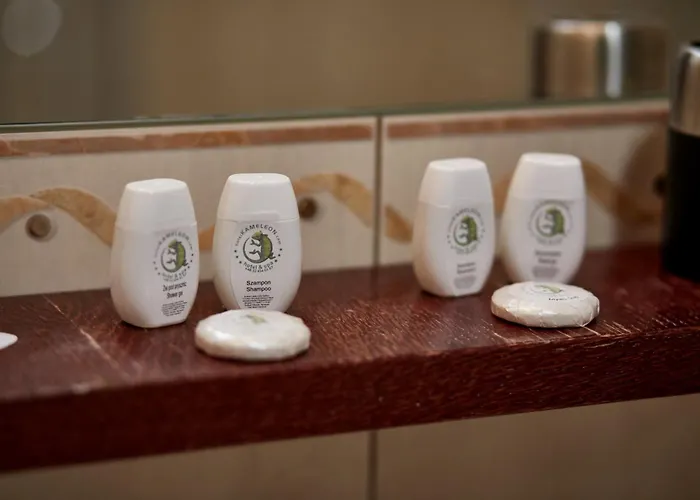 Hotel&spa Kameleon Hotel 3*